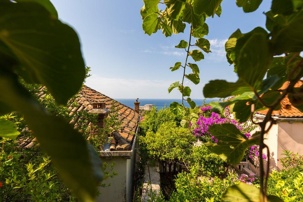 Anika Apartment Dubrovnik Eksteriør bilde